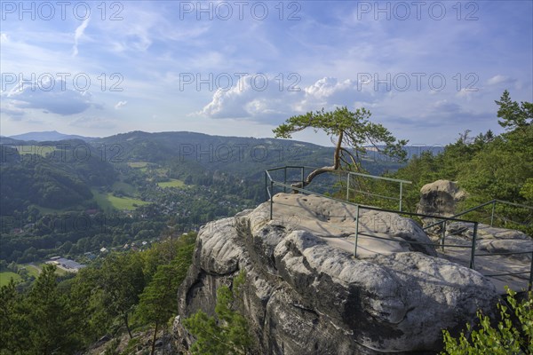 Viewpoint Sandstone Rock of
