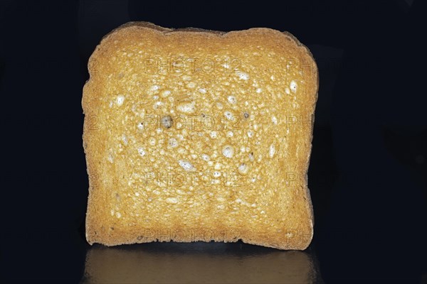 A slice of rusk