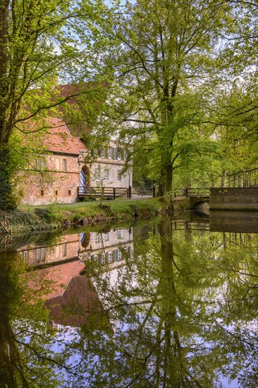 Burg Dinklage Monastery