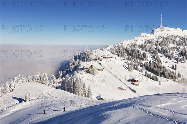 Winter Landscape
