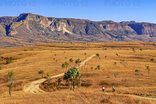 Trekker on a road going through the Isalo National Park