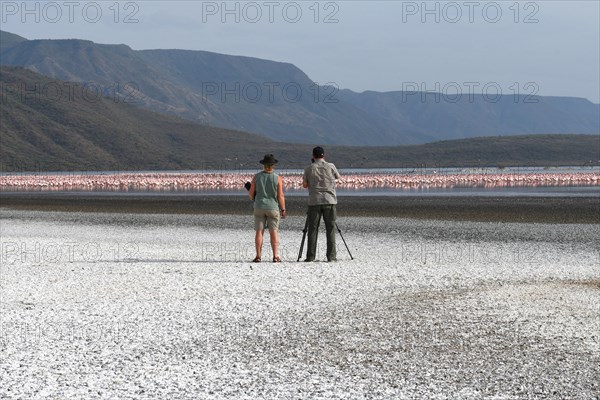 Photographer taking pictures of flamingos