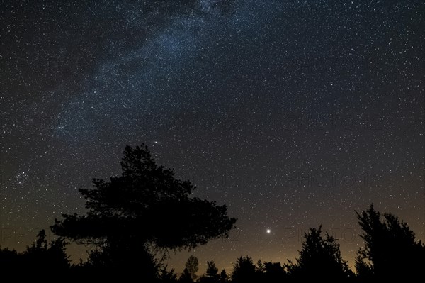 Starry sky
