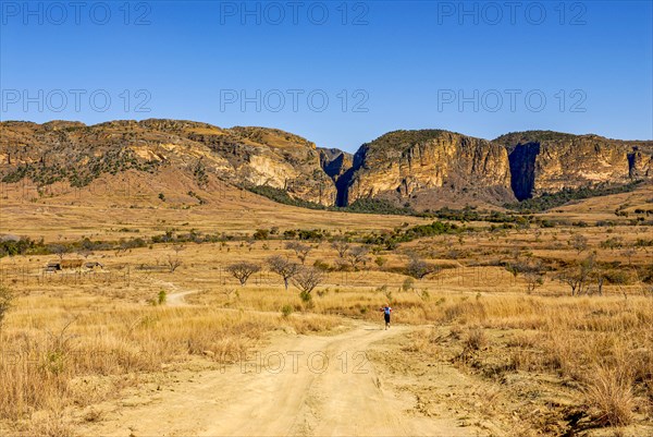 Road going through the Isalo National Park