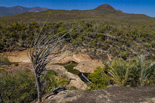 A view over the transitional forest of Andohahela National Park