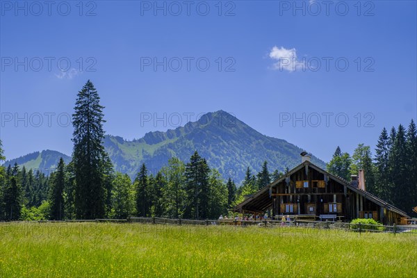 On the way to the Sauruesselalm