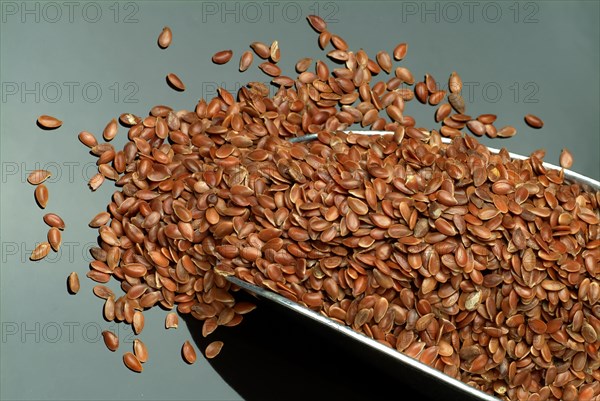 Flaxseed