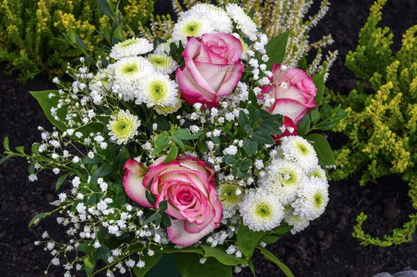 Grave with flower decoration and shrub rose