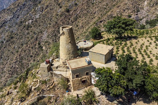 Aerial of fortified house and a coffee plantation