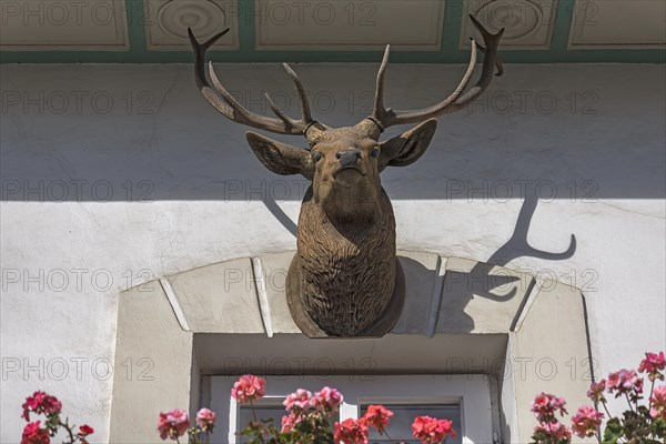 Stag figure on a residential house