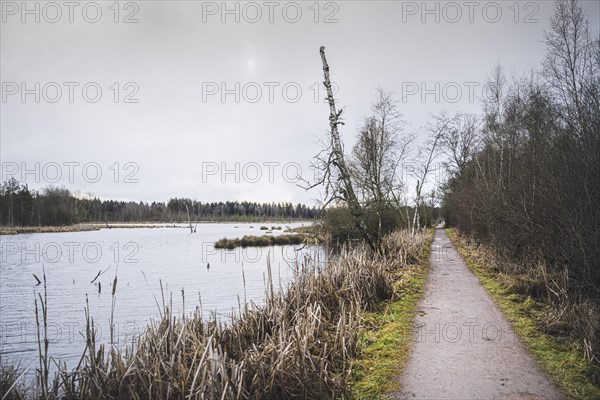 Footpath along the source of the Neckar in the Schwenninger moss nature reserve