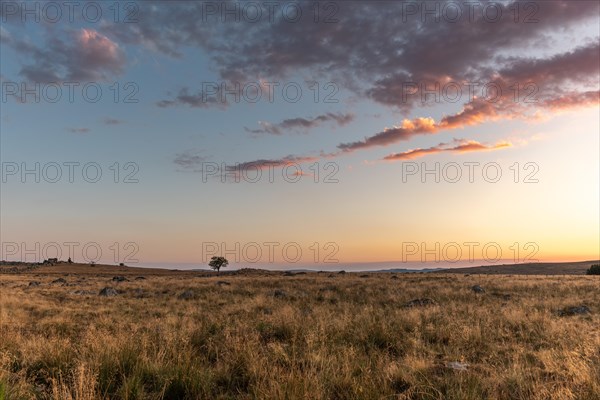 Landscape of Cantal at sunset. France