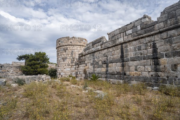 Neratzia