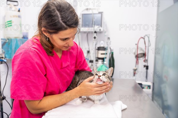 Veterinary clinic