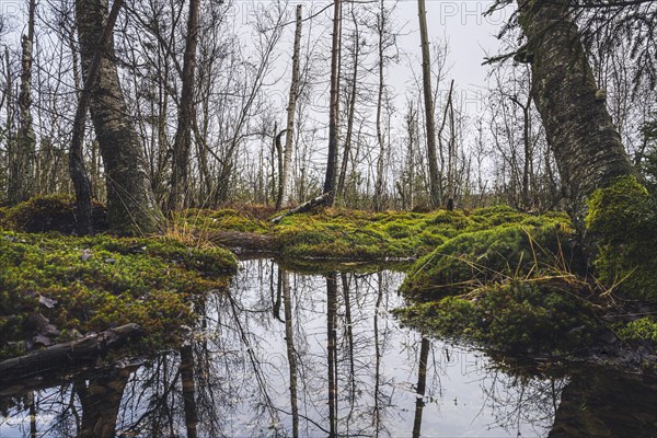 Nature reserve
