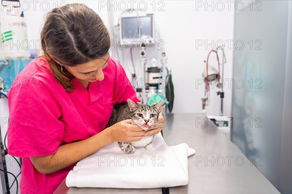 Veterinary clinic