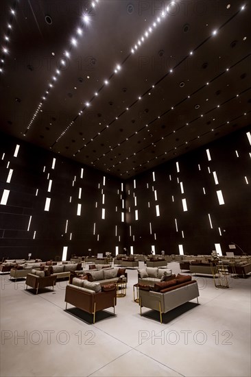 Interior of the Maraya Concert Hall