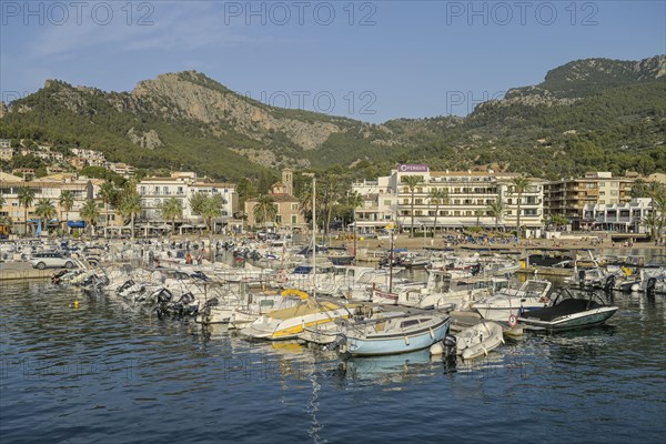 Fishing boats