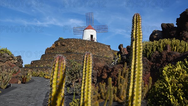 Jardin de Cactus