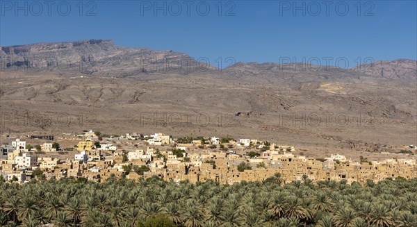 Abandoned ghost town of Al Hamra with Hajar Mountains in the background