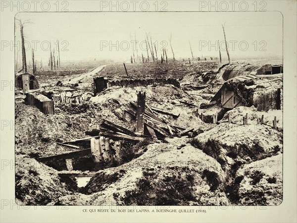Trenches and broken trees of forest after bombardment