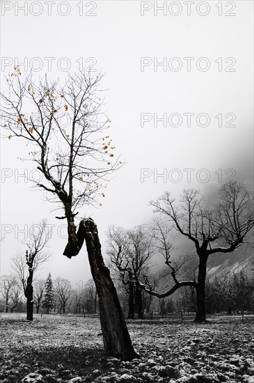 Winter onset