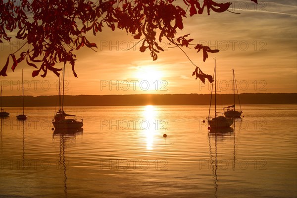 Sailing boats in the sunset in Herrschinger Bucht on Lake Lake Ammer