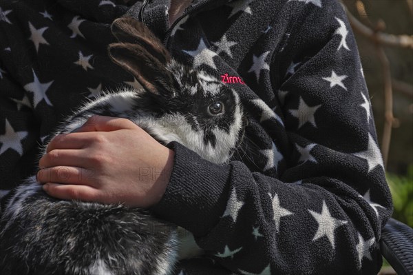Child's hand holding black and white hare on black and white jacket
