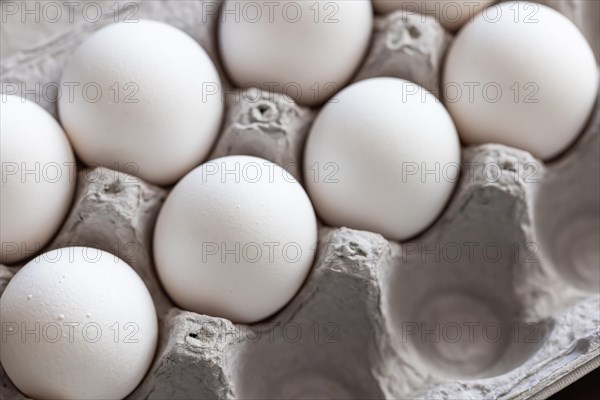 Carton of white chicken eggs
