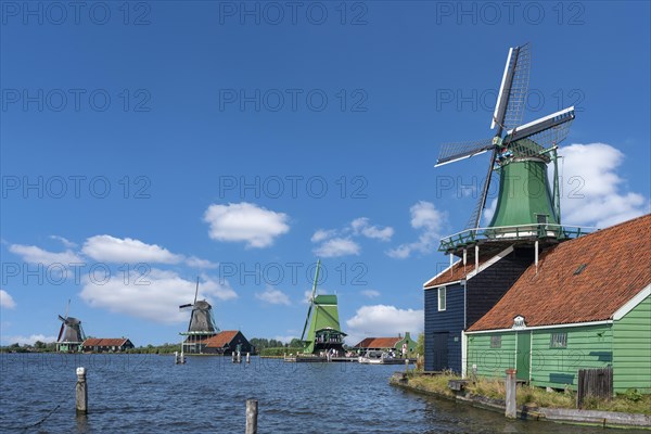 Rural scene with historic windmills in the Zaanse Schans open-air museum