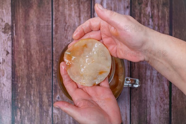 A woman holds in her hands a kombucha mushroom