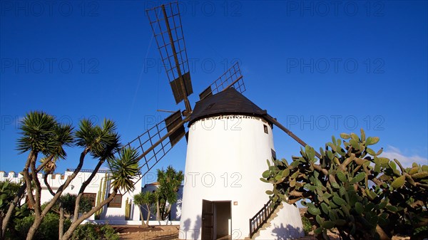 Windmill