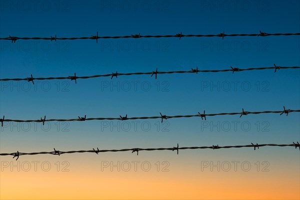 Four rows of barbed wire