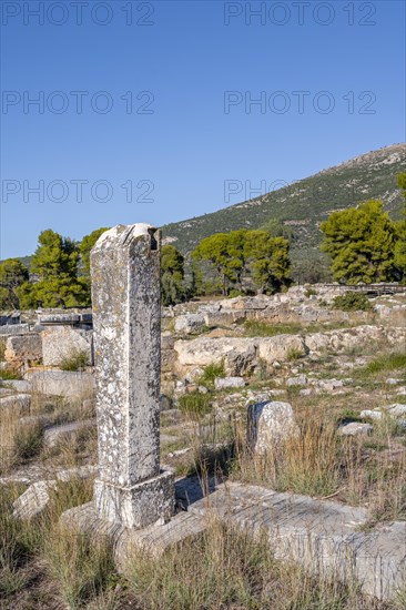 Column