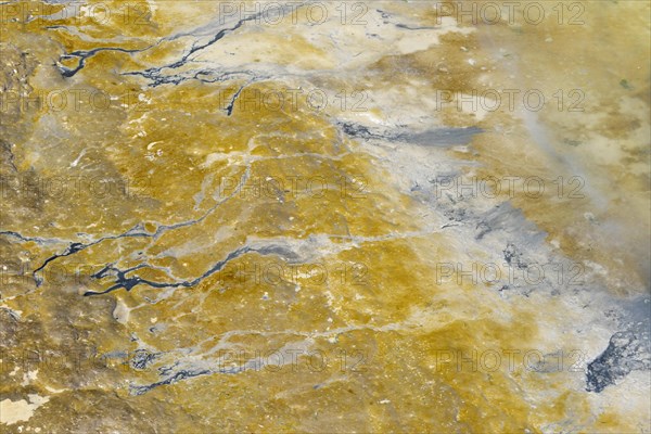 Silt sediment on the Wadden Sea