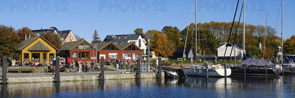 Boats and buildings in the harbour