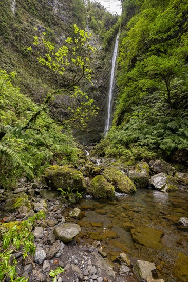 Waterfall on a steep cliff in the Caldeirao Verde