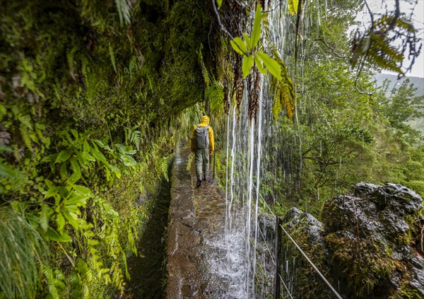 Hikers on a narrow path along a levada with a waterfall