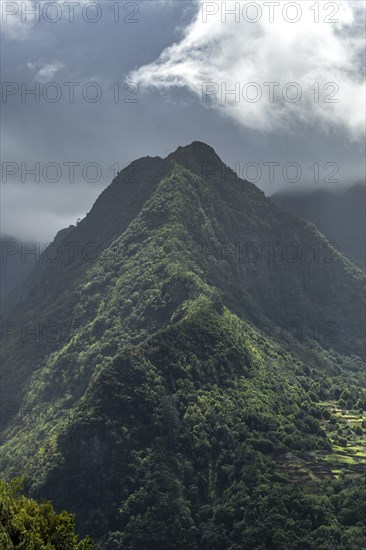 Curving ridge