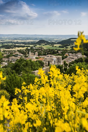 Marsanne