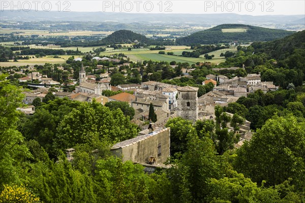 Marsanne