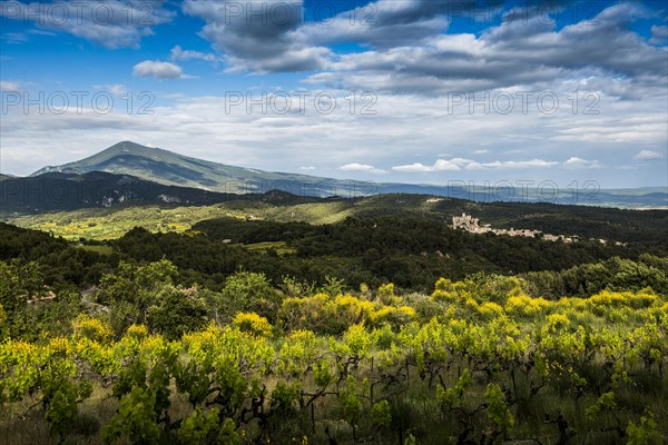 Medieval mountain village and Mont Ventoux