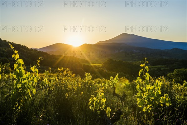 Mont Ventoux