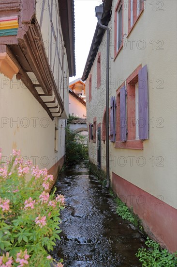 Narrow stream between houses