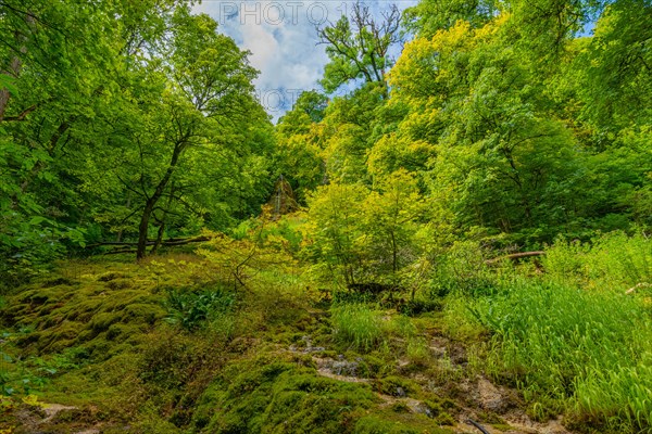 Below Urach waterfall