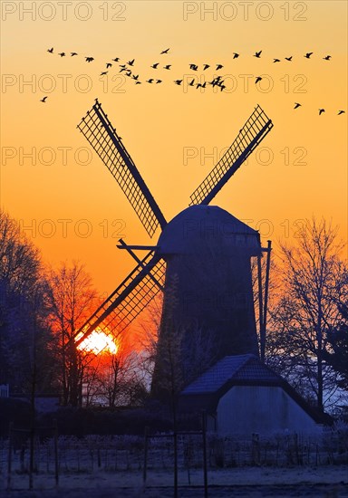 Dueffellandschaft with the windmill in Mehr at sunrise