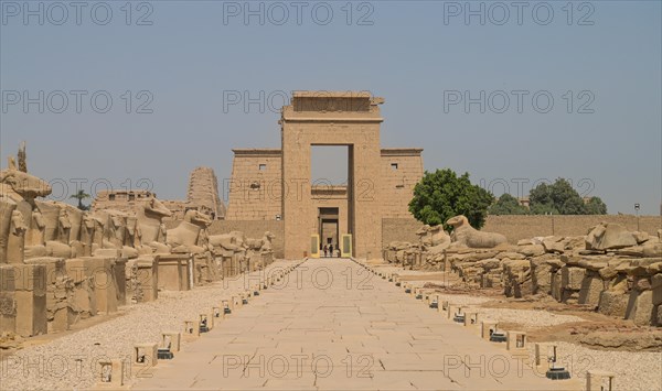 Sphinx Avenue between Karnak and Luxor Temple