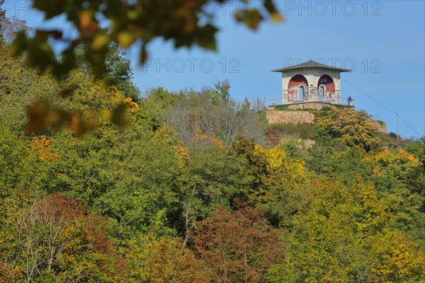 Tea temple on the Kauzenberg with forest during autumn