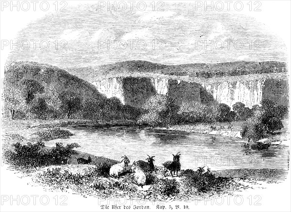 The banks of the Jordan