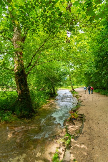 Premium hiking trail Wasserfallsteig